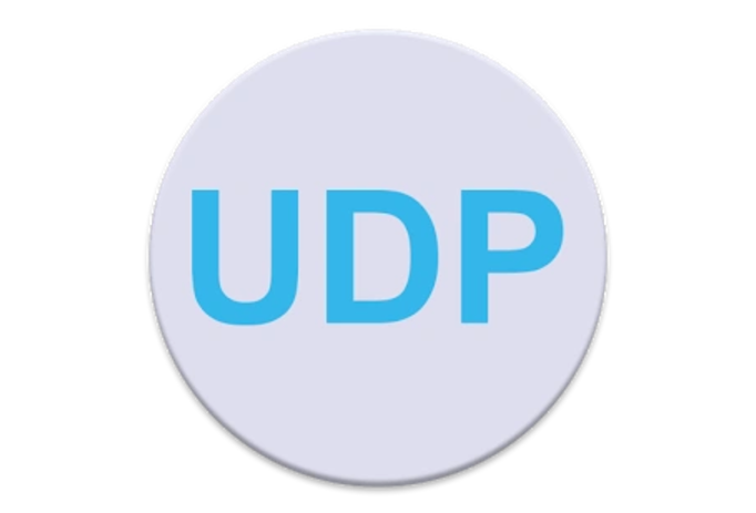 1732761562346891.png UDP.png